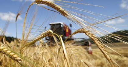 Экспортные пошлины на зерно «заморозят» еще минимум на два сезона