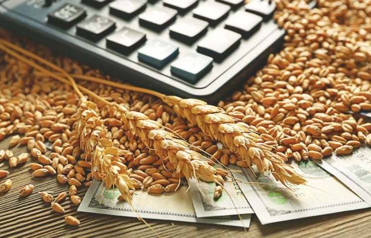 Экспортная пошлина на пшеницу держится на рекордной высоте вторую неделю
