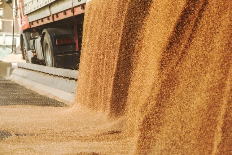Российская пшеница спешит за границу. Пока еще не очень дорого