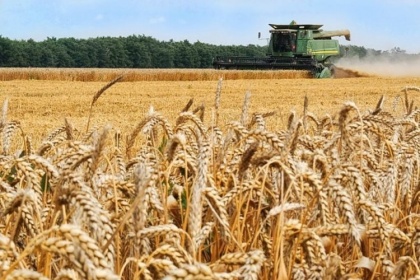Засуха не заставит Россию уступить мировое зерновое господство