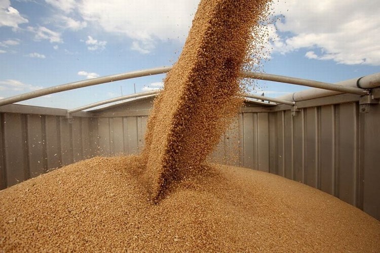 Россия надеется засыпать зерном в два раза больше суши