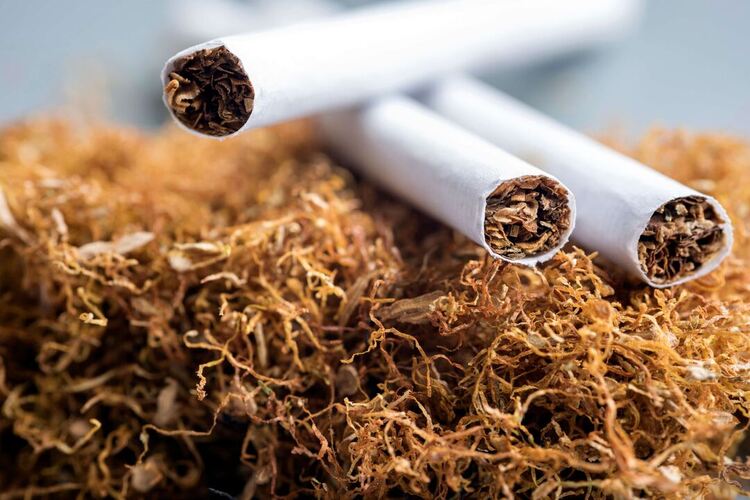 Производство немаркированного табака станет накладнее