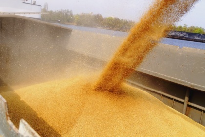 Минсельхоз предложил начать победоносную зерновую войну и обнулить экспортную пошлину на пшеницу