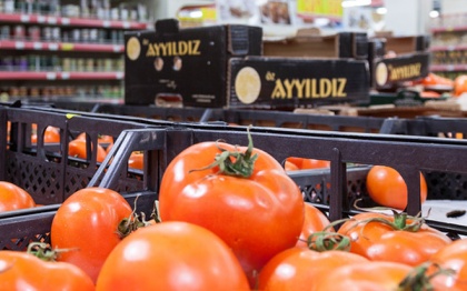 Запрещенные турецкие помидоры можно купить в интернете и оплатить доставку