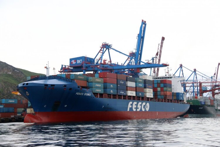 Дальневосточное морское пароходство поборется за свои акции в суде