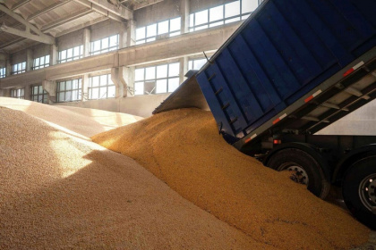 Рост зернового экспорта сдерживает не инфраструктура, а квоты