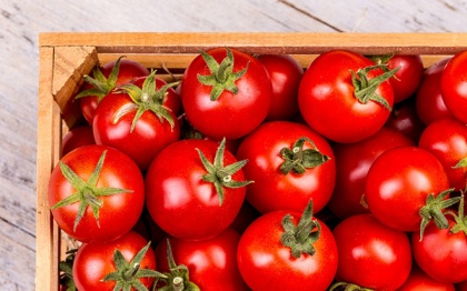Армения и Египет начали в больших количествах рожать томаты. Специально для России