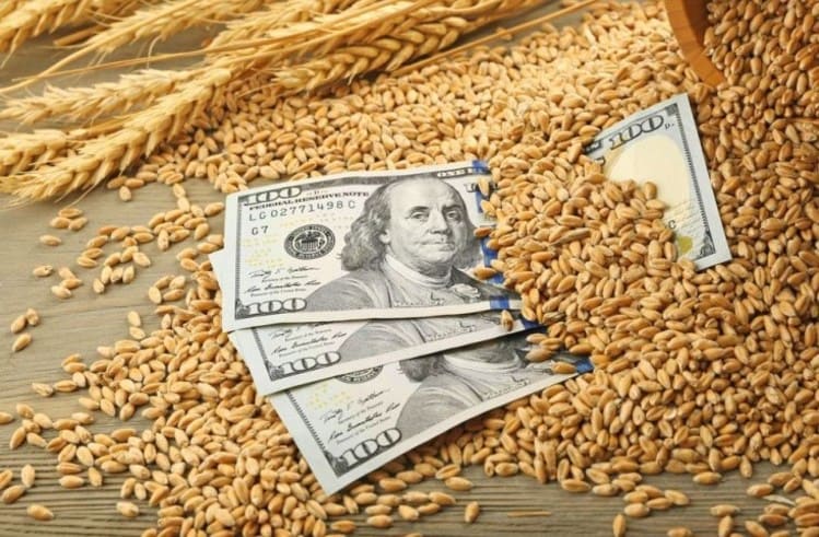 Экспортеры зерна приспособятся даже к ценовому демпферу. Лишь бы «правила игры» не менялись