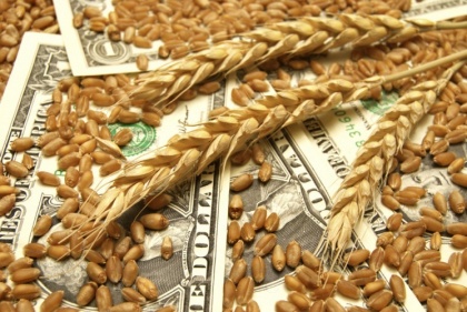 На излете сельхозгода российская пшеница решила «отыграть» экспортную статистику
