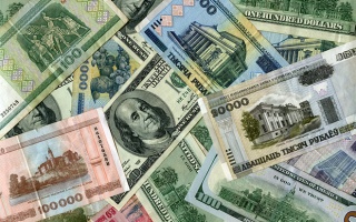 Белорусы просят доллар отвязаться, а в России полагаются на мудрость рынка