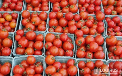 Турецкие томаты раздора вернутся на прилавки российских магазинов уже в октябре