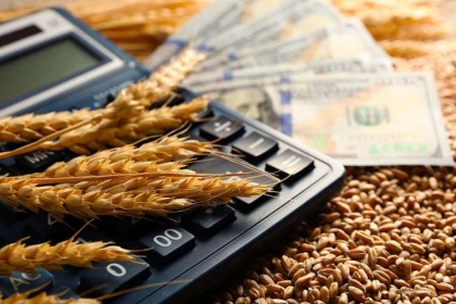 Минсельхоз хочет сделать экспорт зерна менее «беспорядочным»