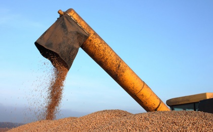 Российский зерновой союз: «Слухов много, достоверной информации пока нет»