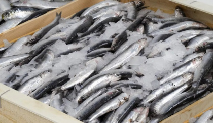 РЖД получит «рыбные субсидии»