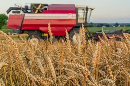 Эксперт: по нынешним ценам российское зерно не конкурентно