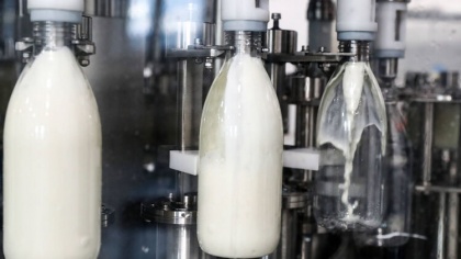Оборудование для маркировки обойдется «молочникам» в 400 млн рублей