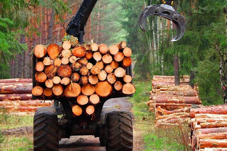 Лесопромышленники просят «подкрутить» транспортные субсидии. Иначе экономический смысл теряется