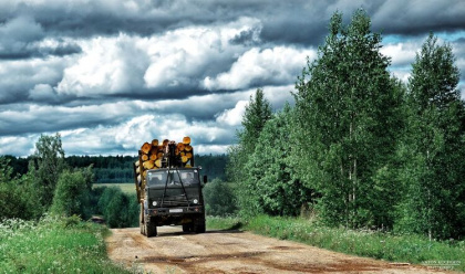 Лесовозы просят разрешения работать на «мокрых дорогах»
