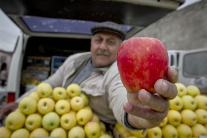 Молдавскому импорту разрешили остаться «неопошленным»