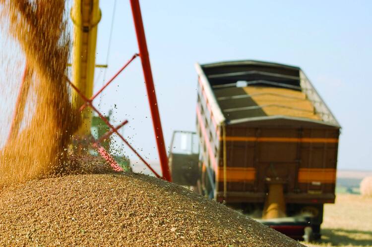 Фальшивые пропуска на перевозку зерна обошлись почти в двадцать миллионов