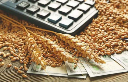 Экспортная пошлина на пшеницу держится на рекордной высоте вторую неделю