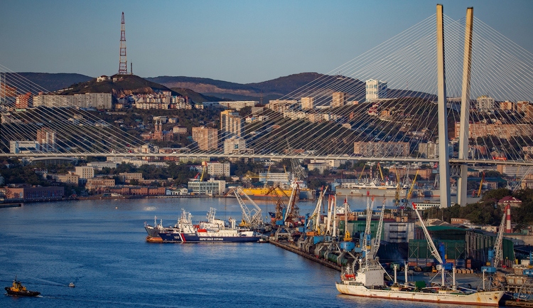 В порт Владивостока хотят засыпать и уголь, и зерно, и минеральные удобрения и много чего еще