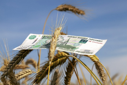Россия готова экспортировать не всю пшеницу