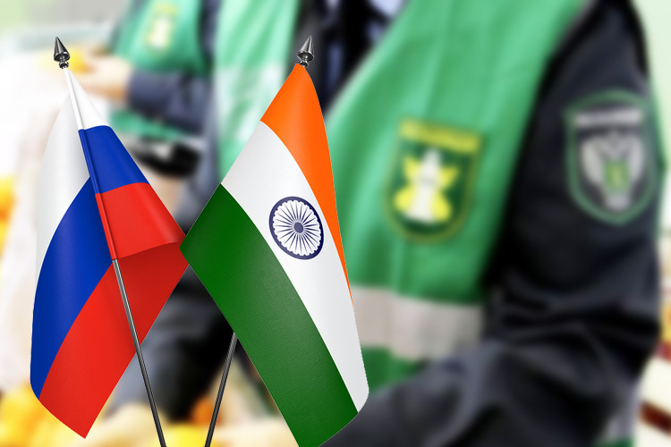 Индийско-российских структур для поговорить создано море, а решить вопрос некому