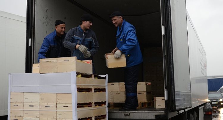 Во Владимире построят логцентр для того, чтобы узбекские овощи и фрукты могли «отлежаться» после долгой дороги