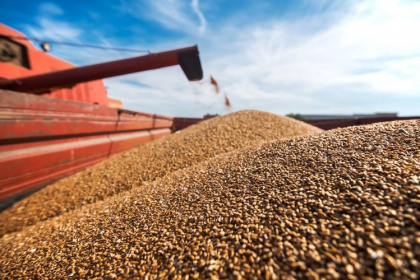 Экспортные прогнозы на зерно взяли новую высоту