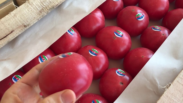 Азербайджанские томаты попали в «немилость» в Россельхознадзору