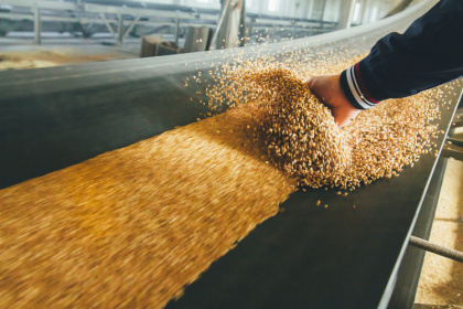 Зерновой экспорт консолидируется