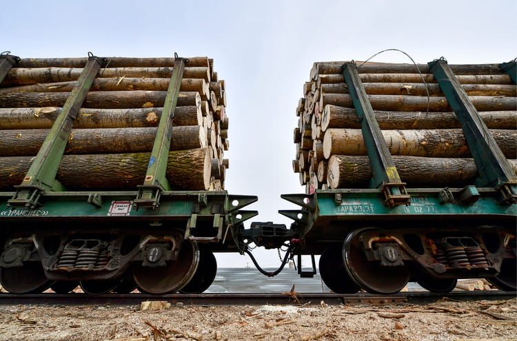 Эксперт: из-за запрета на экспорт круглого леса «полетят щепки» на железной дороге