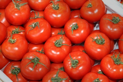 Турецкие томаты вернут, когда российские "отойдут"