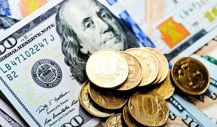 Кабмин внес в Госдуму «валютное предложение»