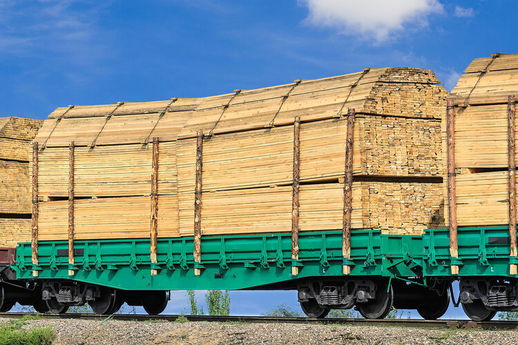 Для российских «елок-палок» Казахстан сделал транзитное исключение