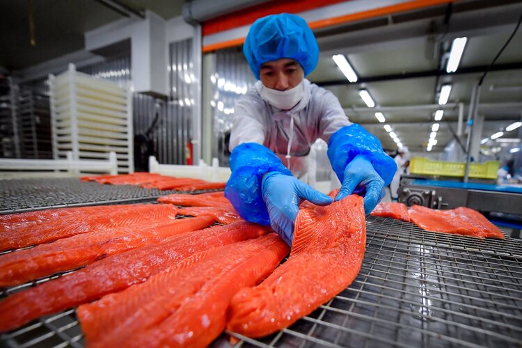 Особая экономическая зона на Курилах была бы интересна переработчикам рыбы