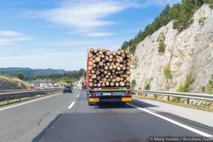 Три рейса и домой: визовый лимит оставил российский лес на обочине