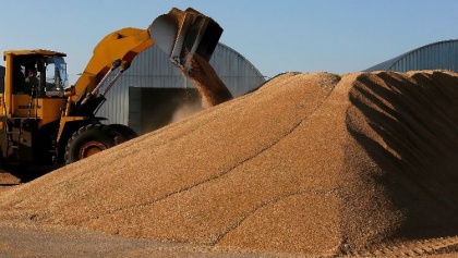 Экспортеров зерна попросили придерживаться прогноза Минсельхоза. Неофициально, конечно