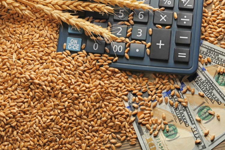 Экспортные цены на зерно растут, а поставки нет