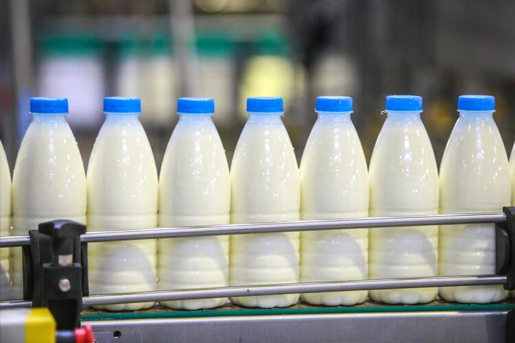 Российская молочка получит экспортный приоритет