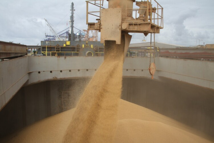 Экспортеры поделятся квотами на зерно